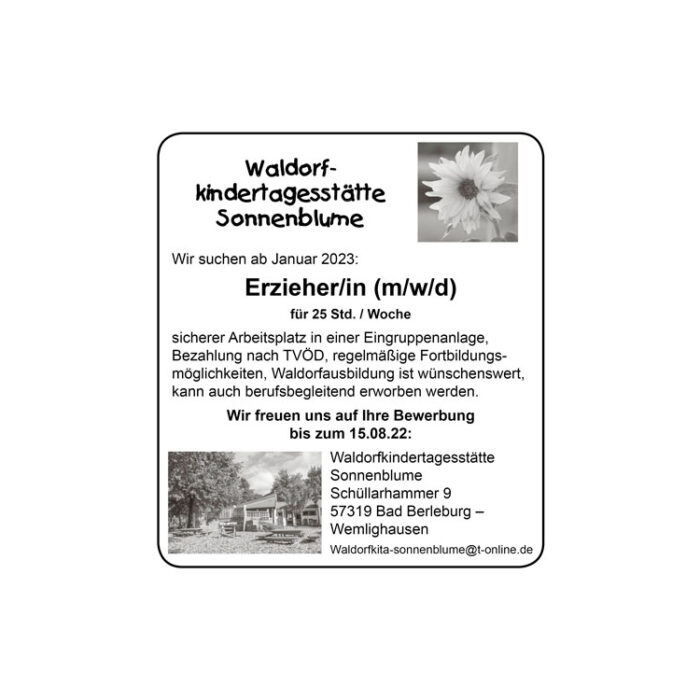 Waldorfkindertagesstätte-Sonnenblume-27-07-2022